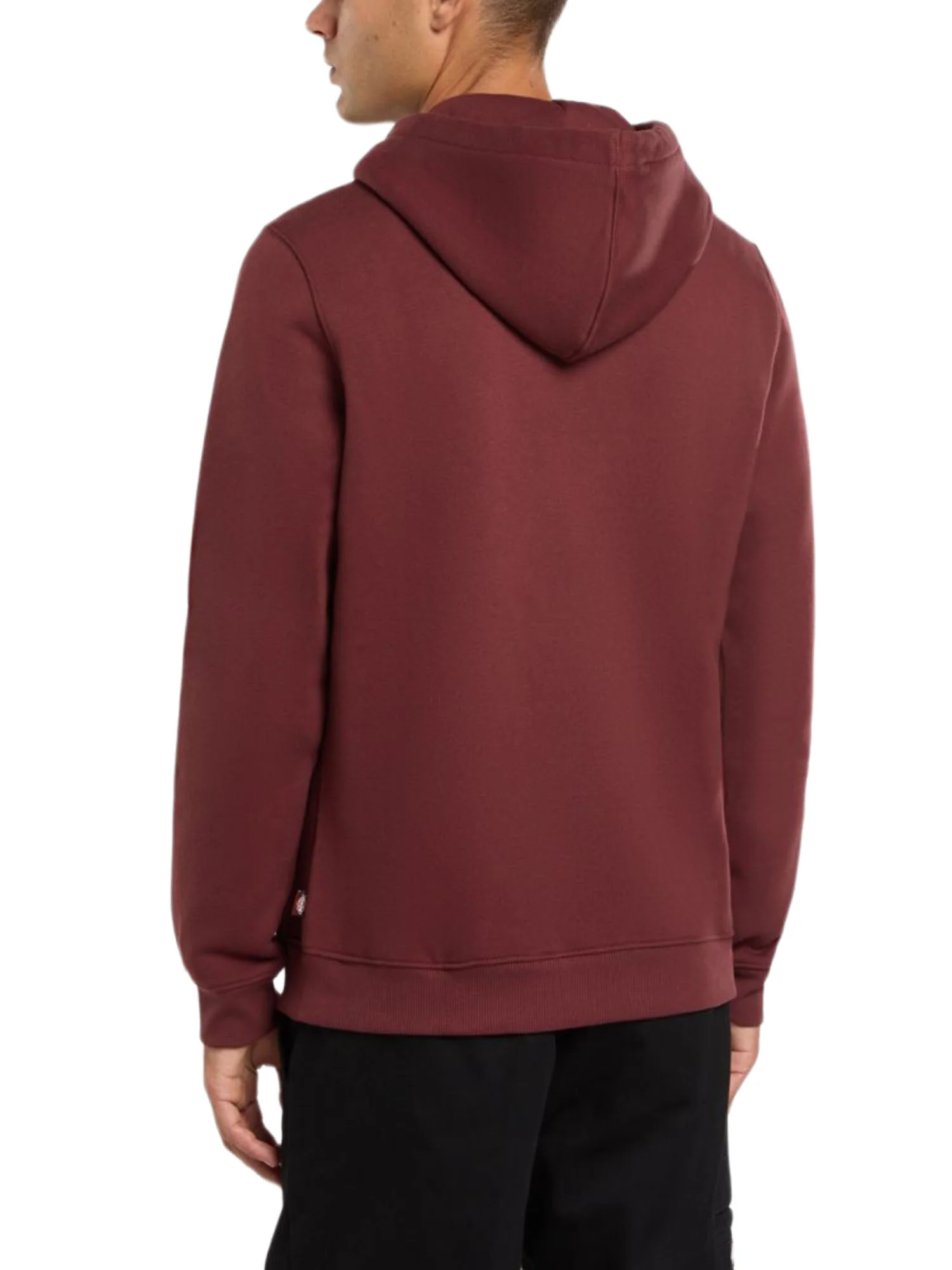 Dickies Felpe Uomo | DK0A4XCD - Image 3