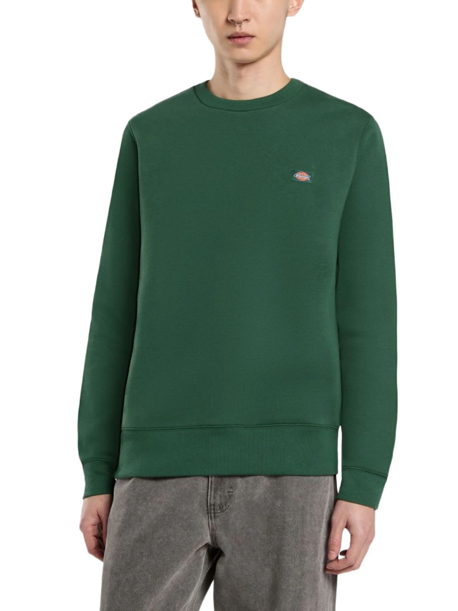 Dickies Felpe Uomo | DK0A4XCE - Image 6