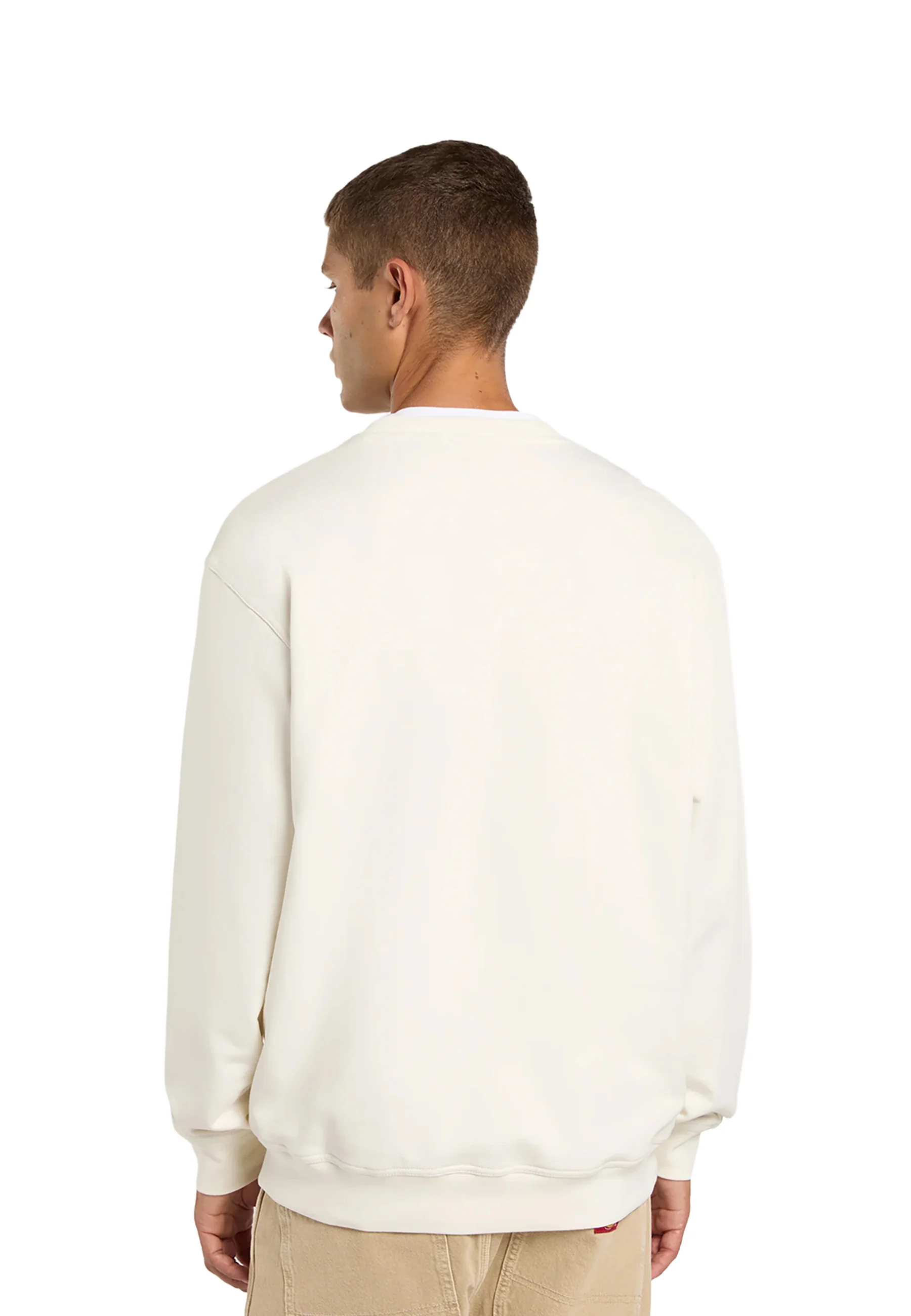 Dickies Loretto Swatshirt Felpe Uomo | DK0A88OC - Image 8