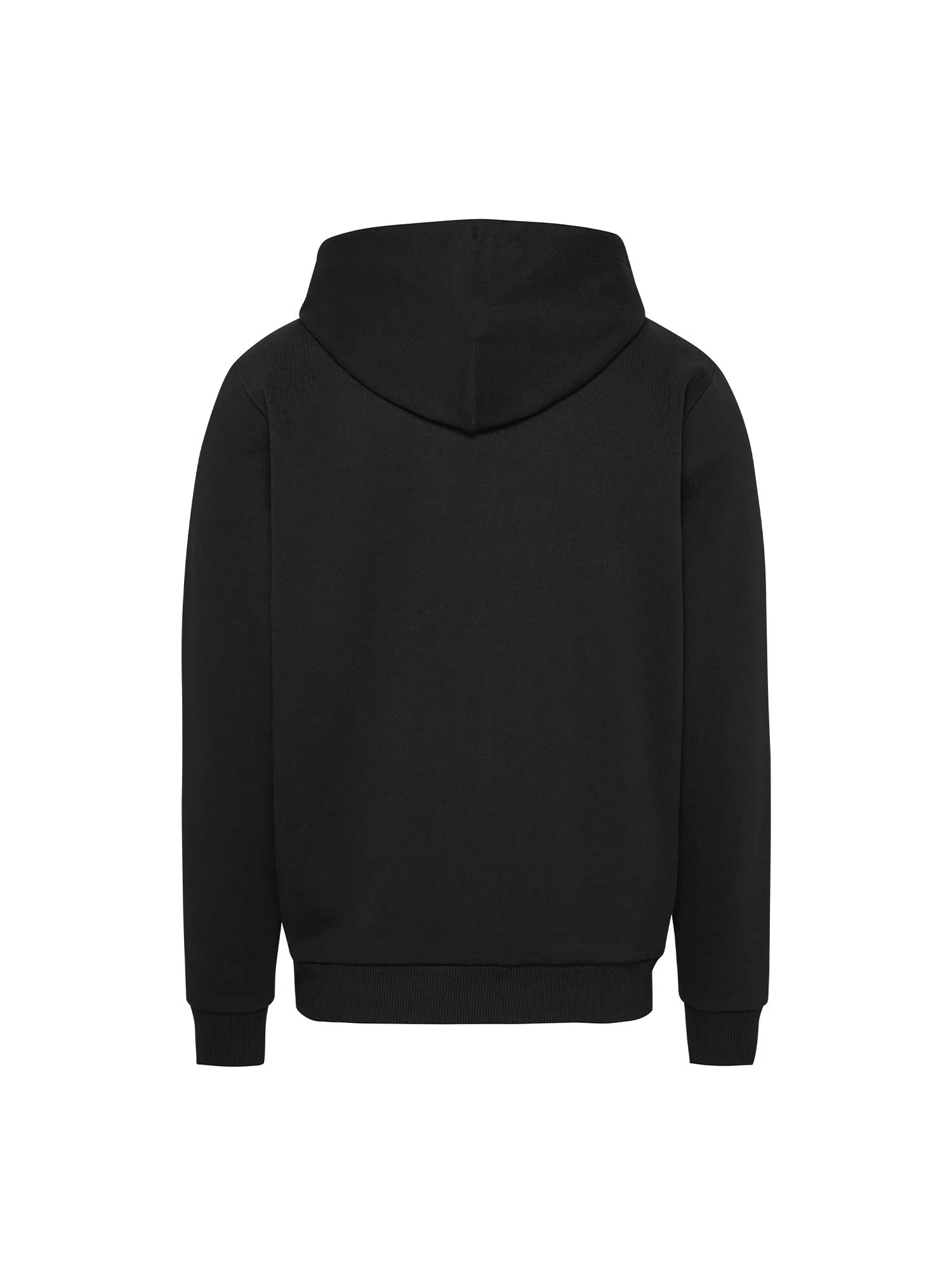Tommy Jeans Felpe Uomo | DM0DM17810 - Image 5
