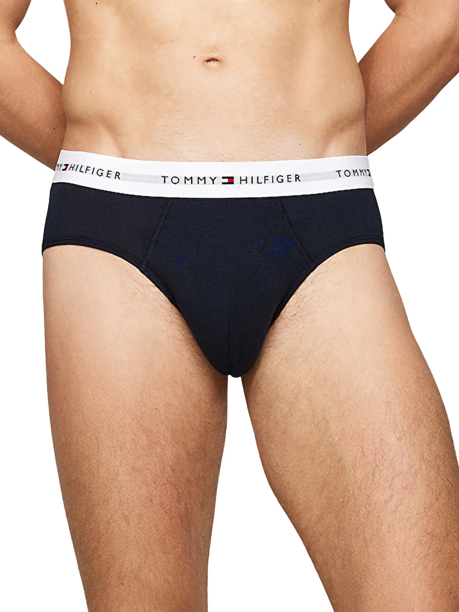 Tommy Hilfiger Slip Uomo | UM0UM02904 - Image 2
