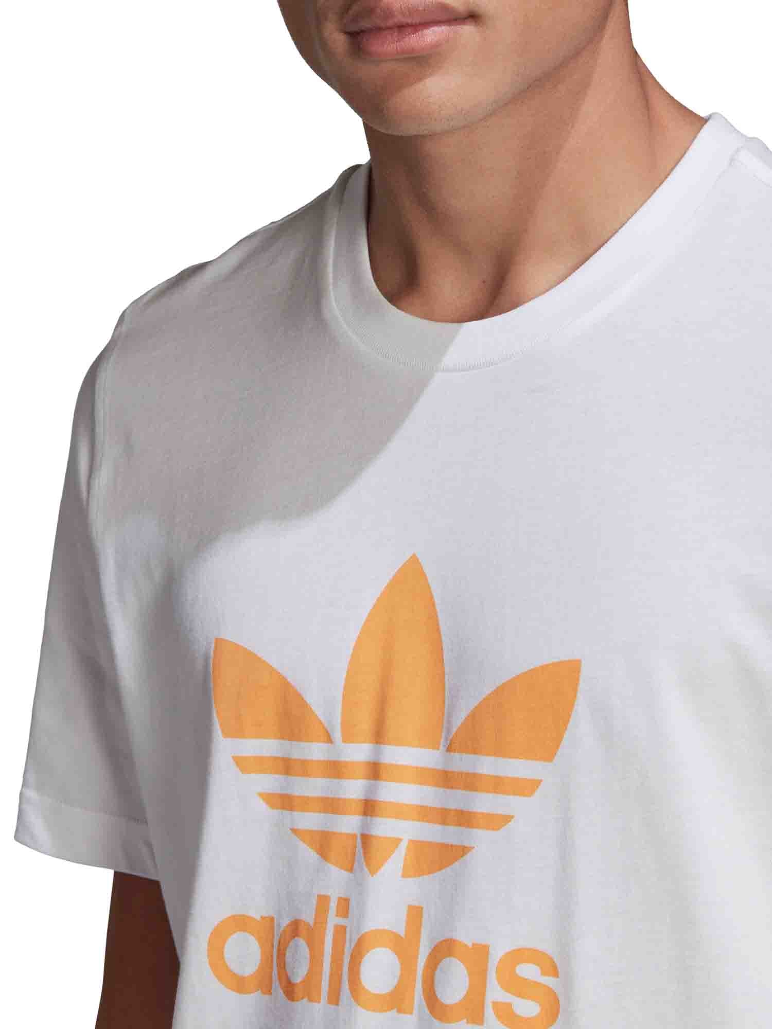 Adidas Originals T-shirt Uomo | GN3486 - Image 5