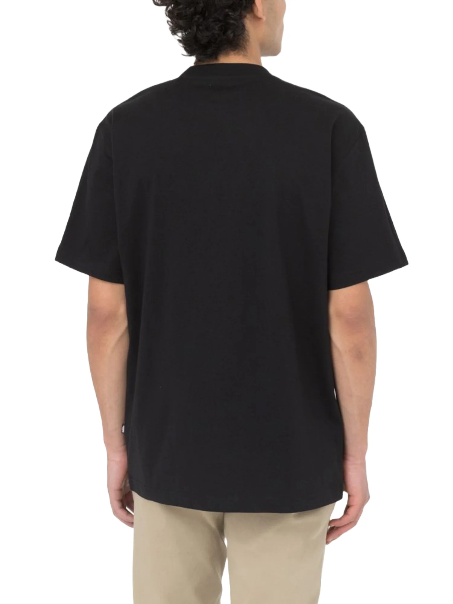 Dickies T-shirt Uomo | DK0A4YAI - Image 10