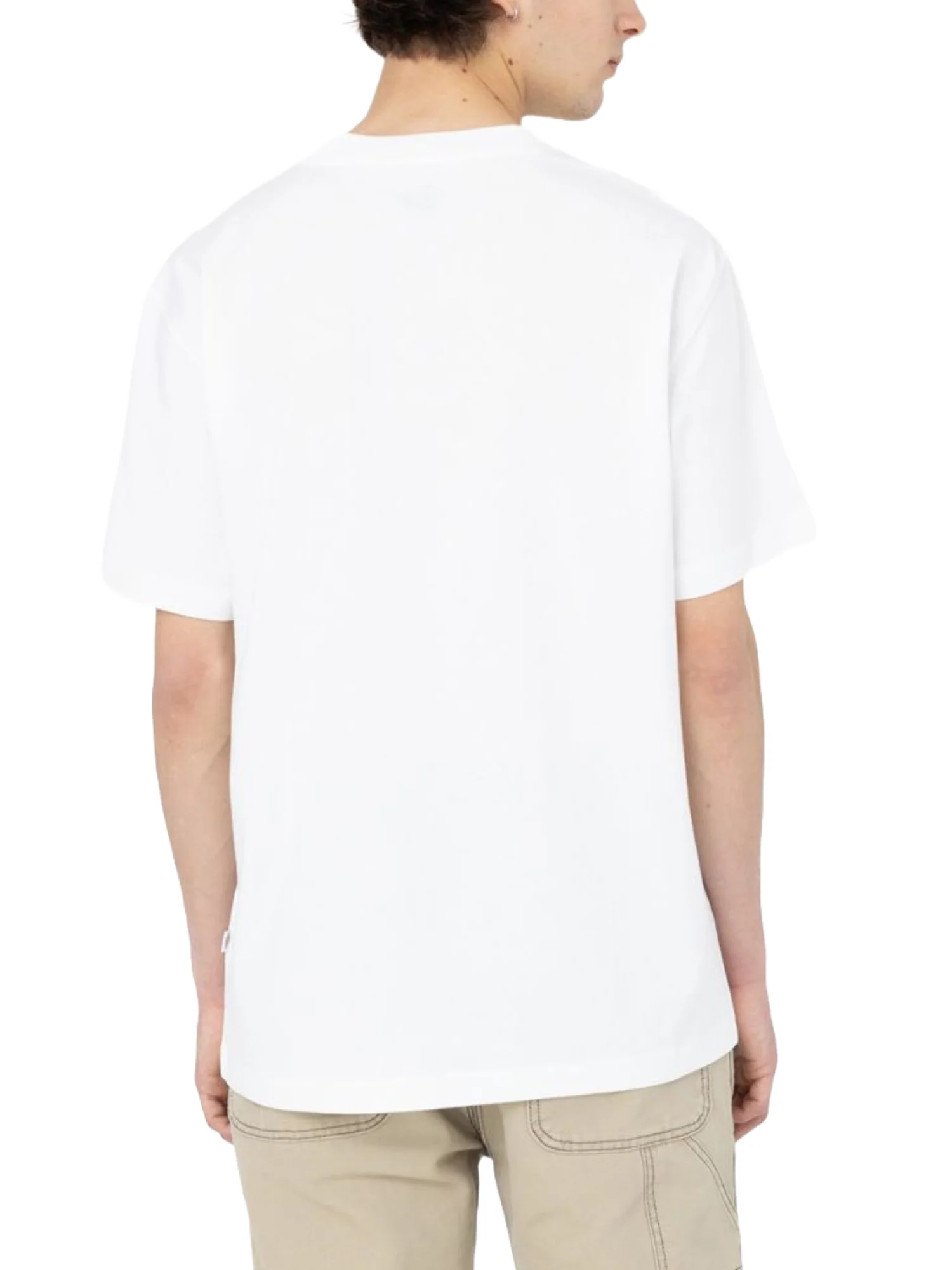 Dickies T-shirt Uomo | DK0A4YAI - Image 6