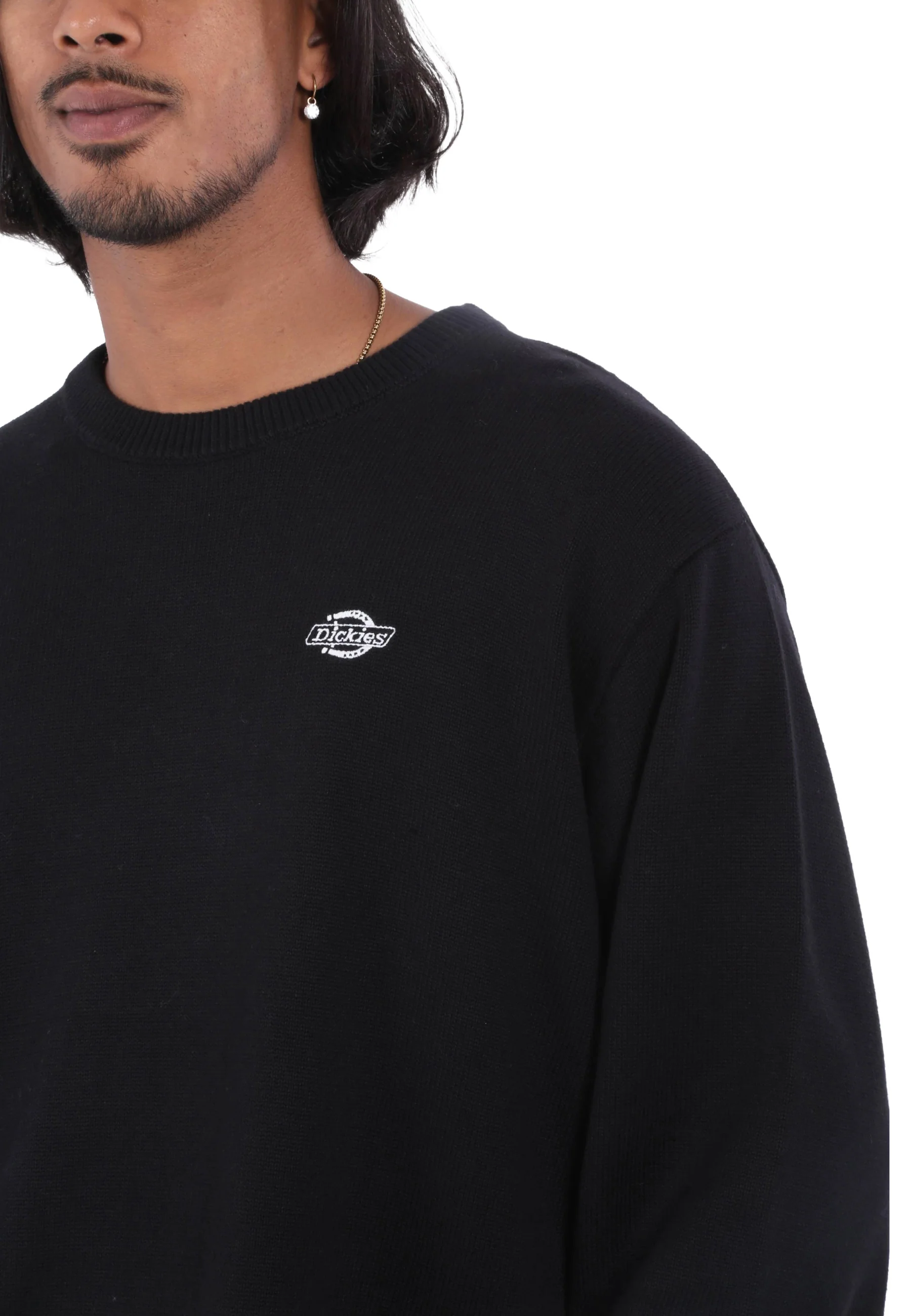 Dickies Maglioncini Uomo | DK0A87OP - Image 17