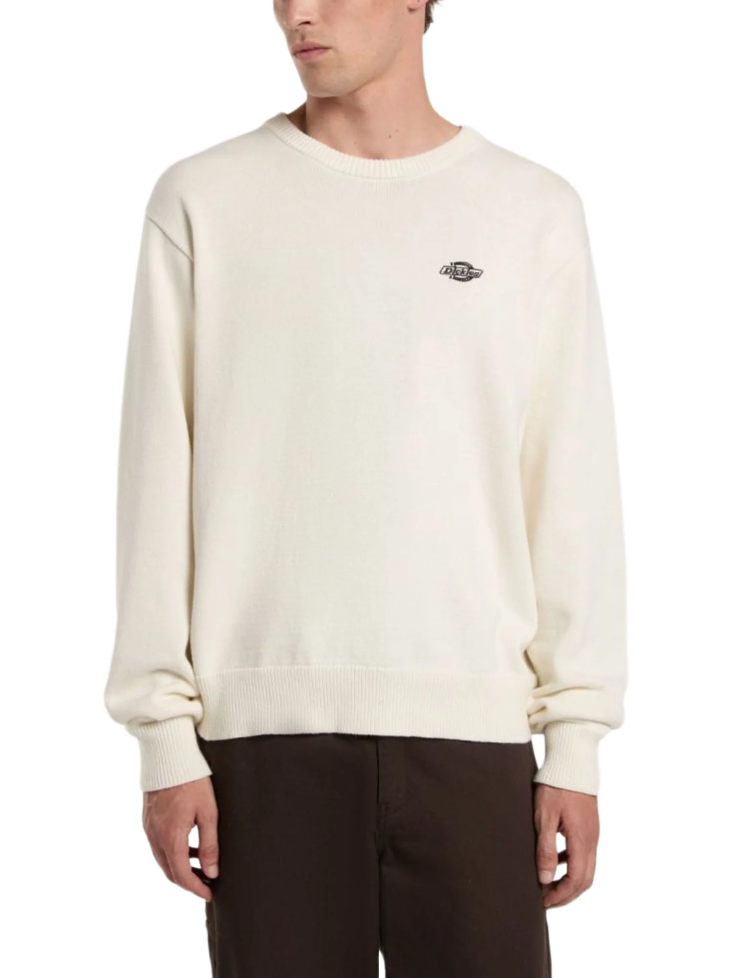 Dickies Maglioncini Uomo | DK0A87OP - Image 2