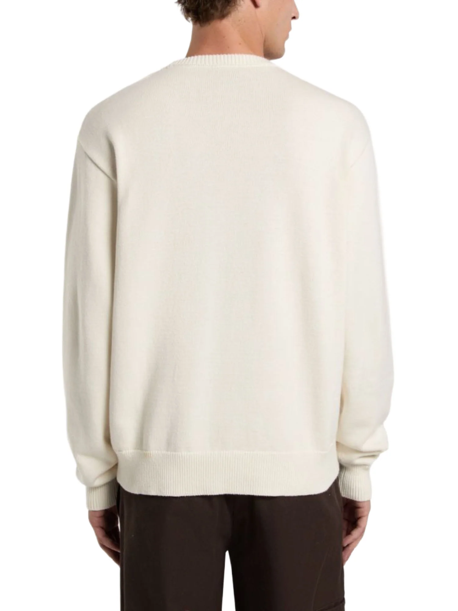Dickies Maglioncini Uomo | DK0A87OP - Image 3