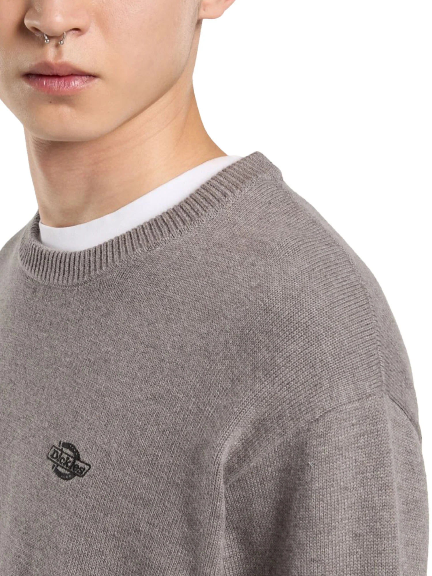 Dickies Maglioncini Uomo | DK0A87OP - Image 8