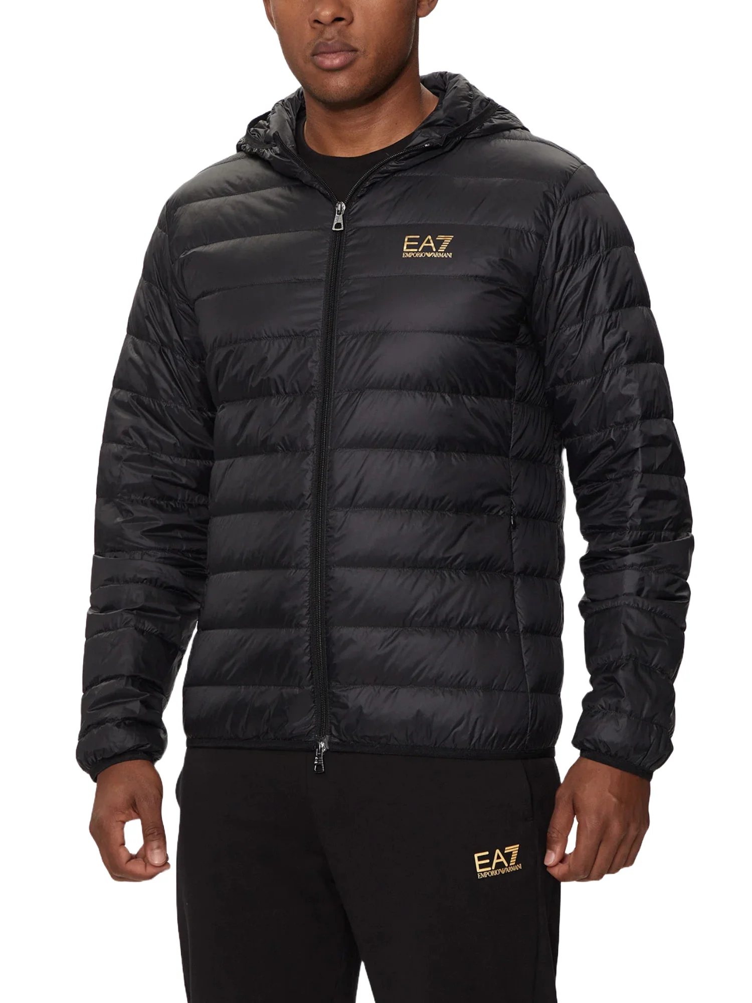Ea7 Emporio Armani Piumini Uomo | 8NPB24 PNGPZ - Image 2