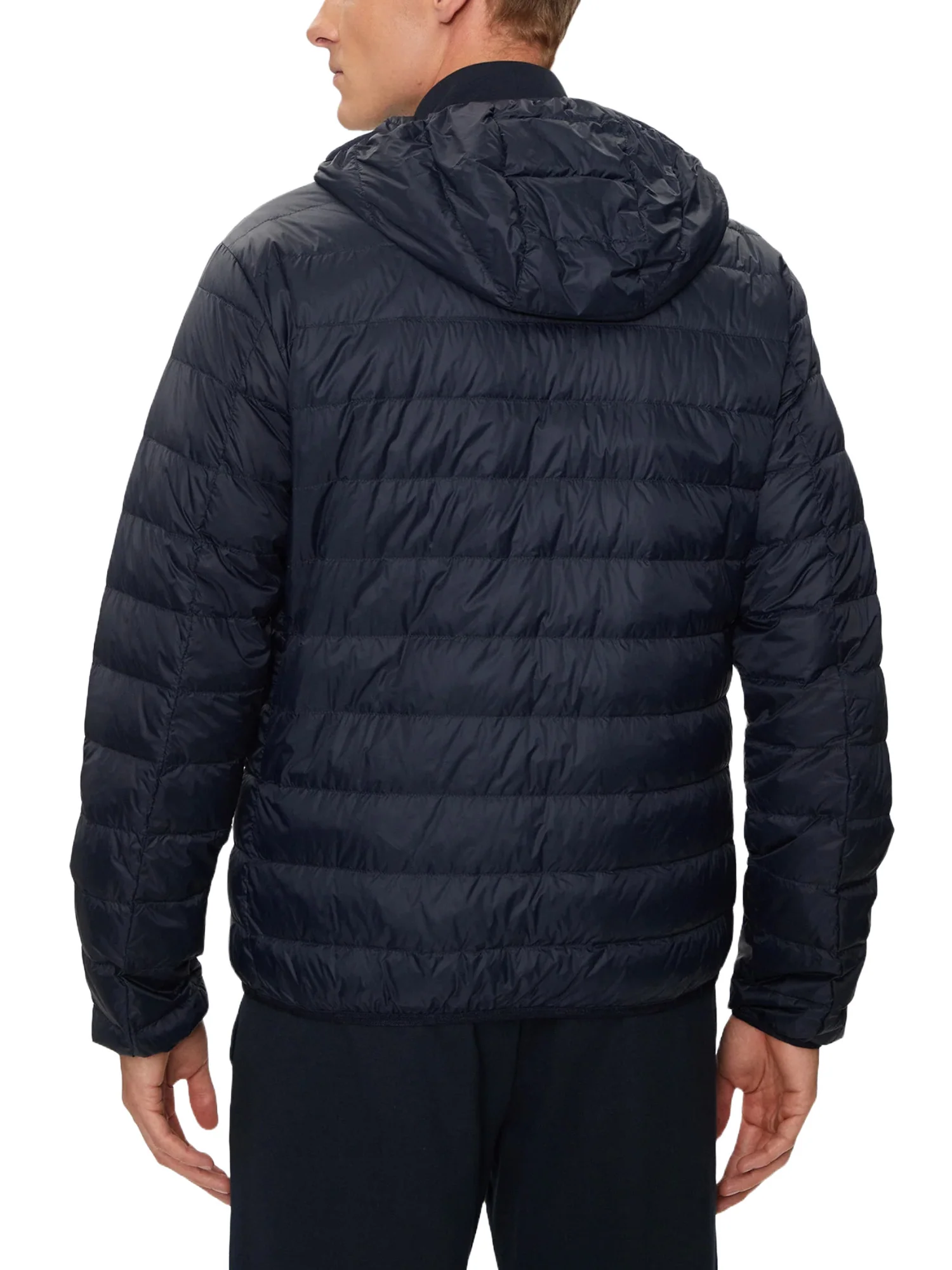 Ea7 Emporio Armani Piumini Uomo | 8NPB24 PNGPZ - Image 7