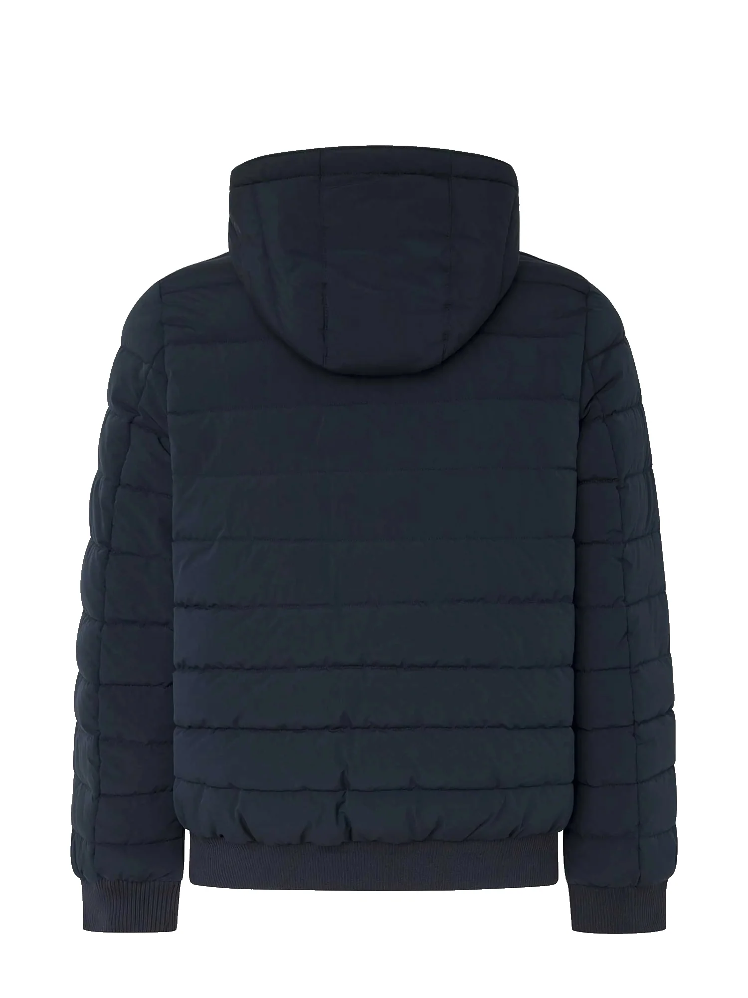 Pepe Jeans Piumini Uomo | PM403026 - Image 3