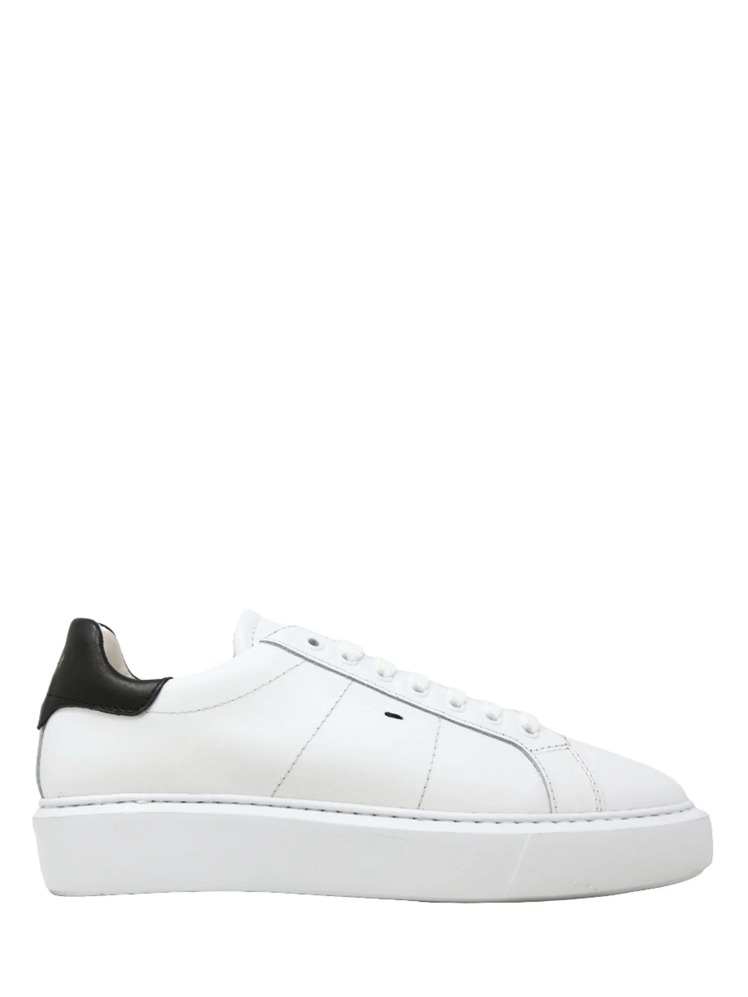 Hornet By Botticelli Sneakers Uomo | 206 - Image 5