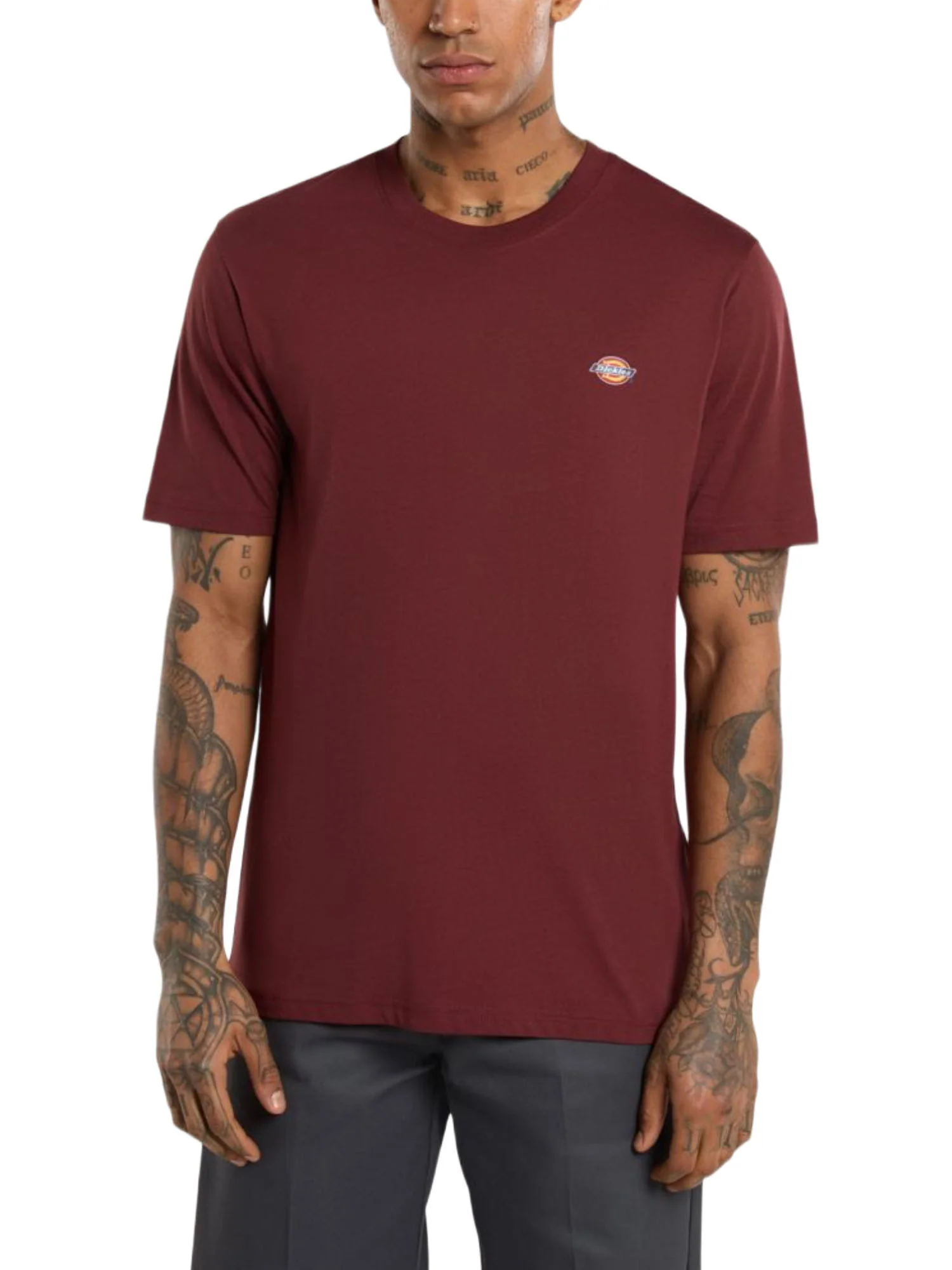Dickies T-shirt Uomo | DK0A4XDB - Image 2
