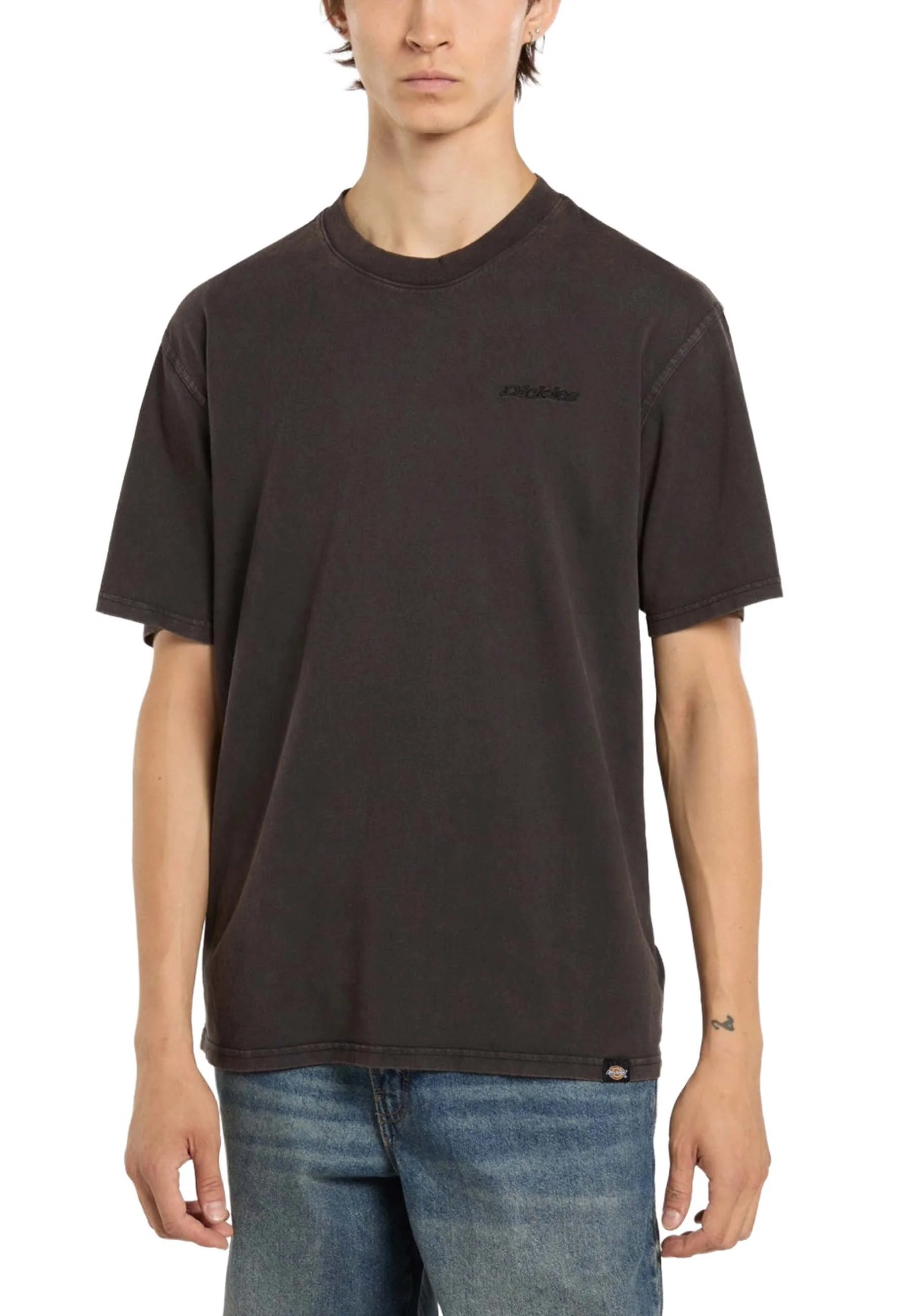 Dickies T-shirt Uomo | DK0A866B - Image 10