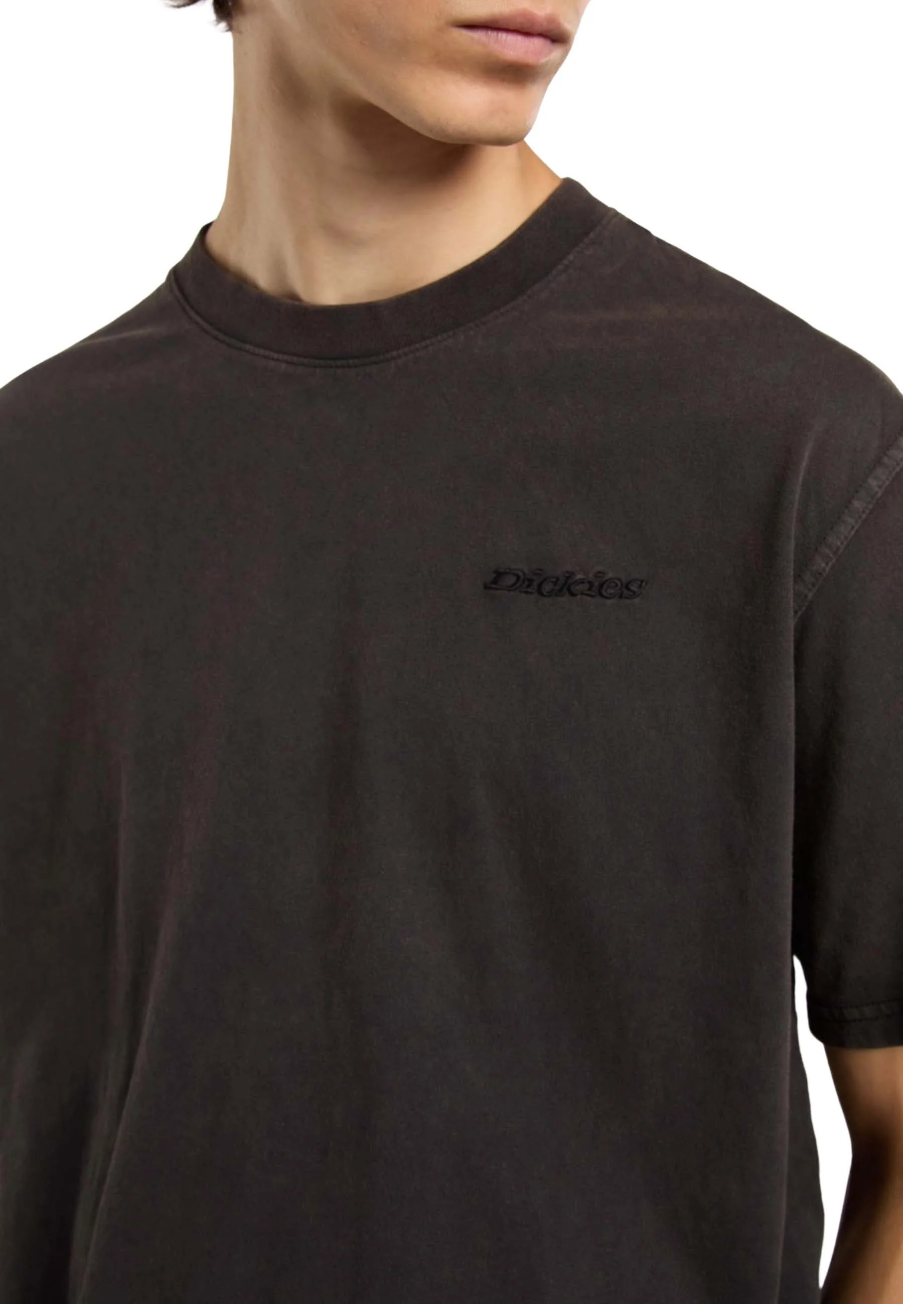 Dickies T-shirt Uomo | DK0A866B - Image 12
