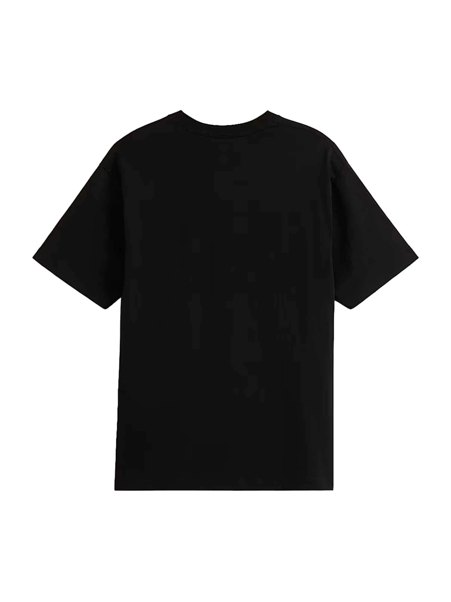 Vans T-shirt Uomo | VN000RAP - Image 2